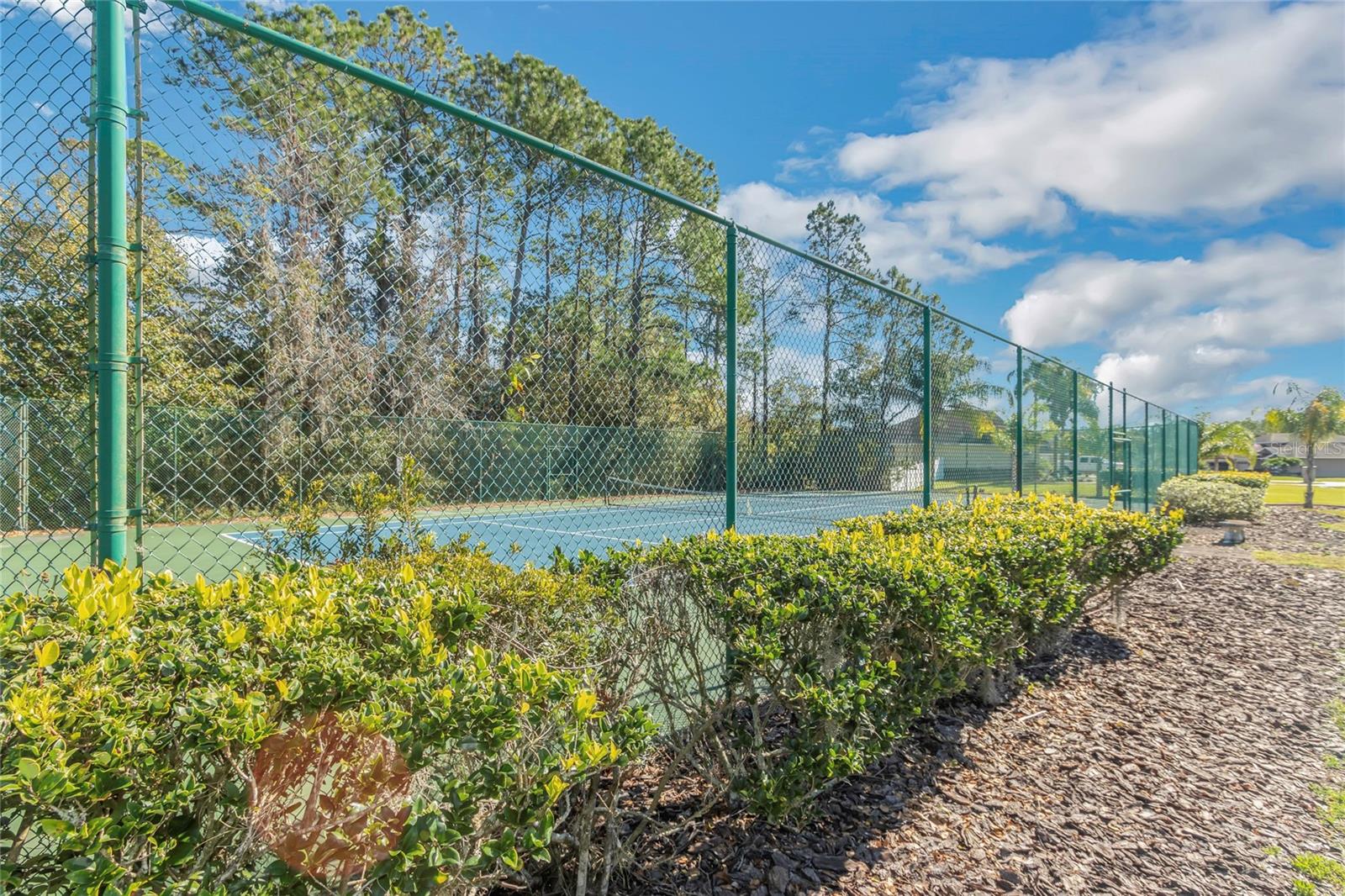 6218 BRIDLEFORD DR, WESLEY CHAPEL, FL, 33545