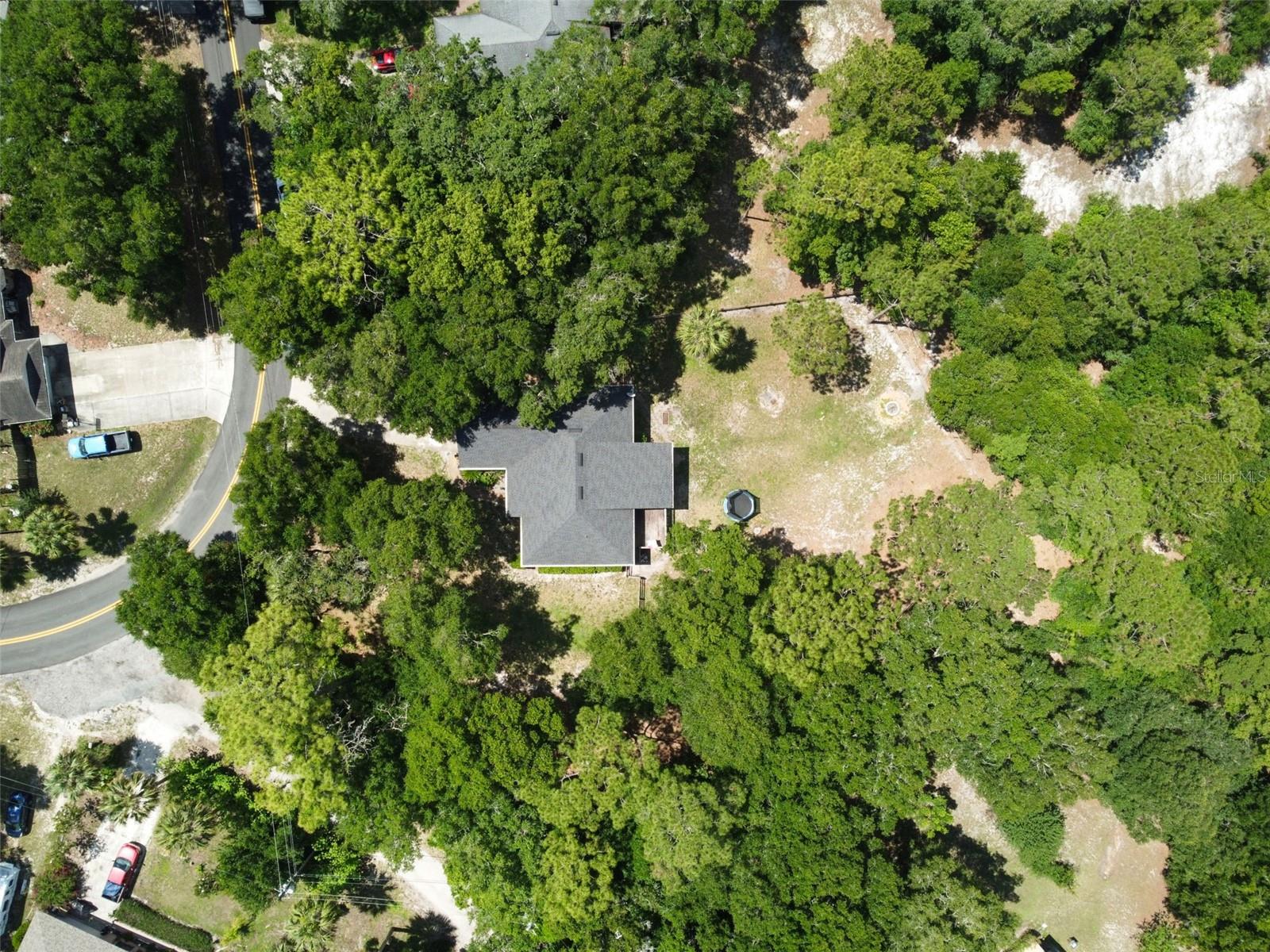 31154 LOCHMORE CIR, SORRENTO, FL, 32776