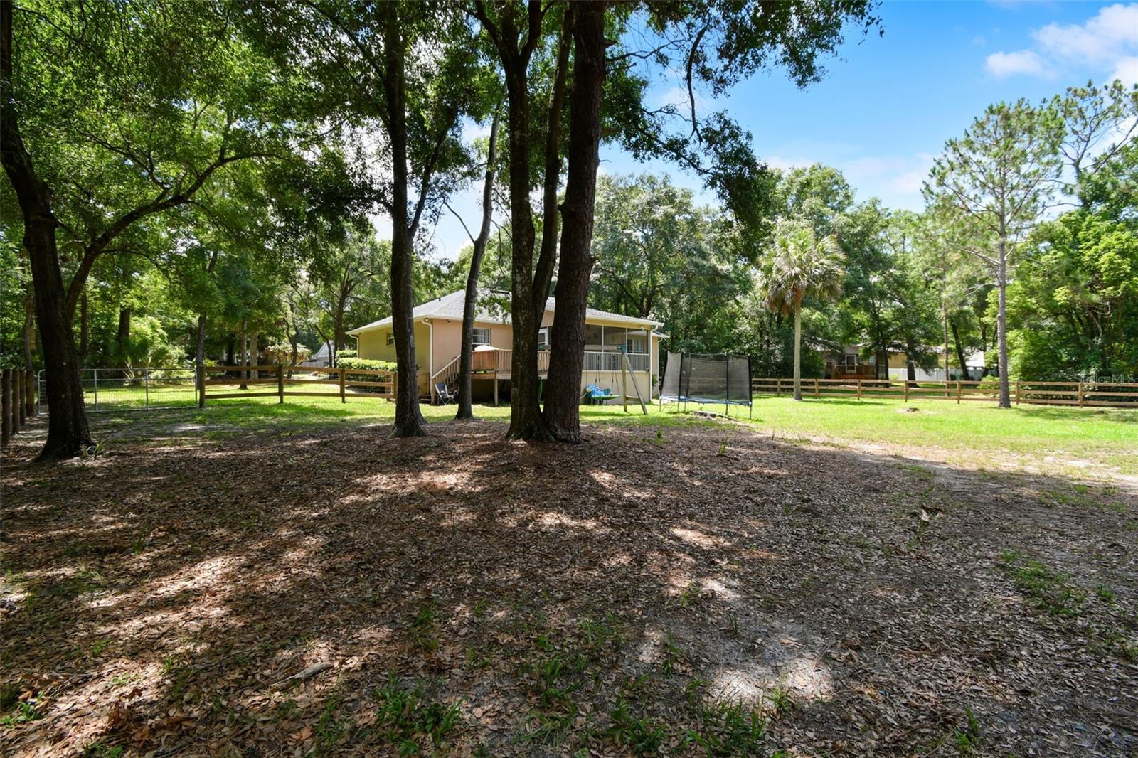 31154 LOCHMORE CIR, SORRENTO, FL, 32776