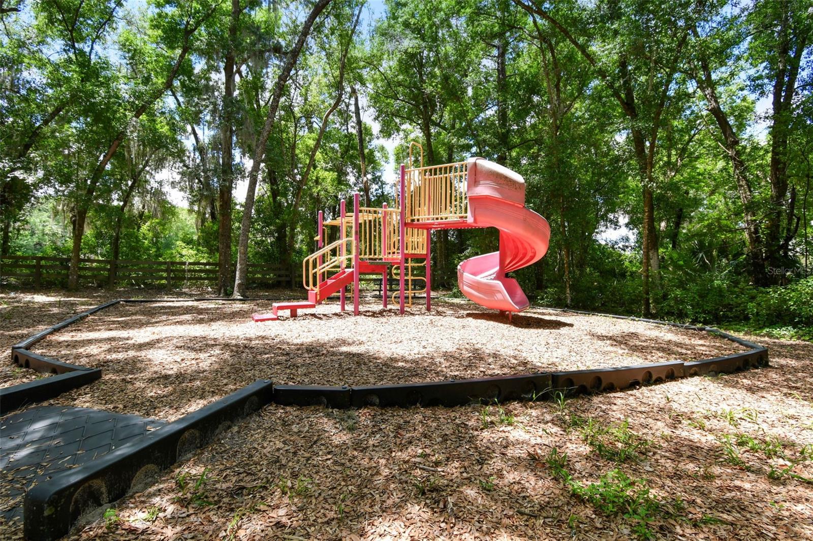 31154 LOCHMORE CIR, SORRENTO, FL, 32776