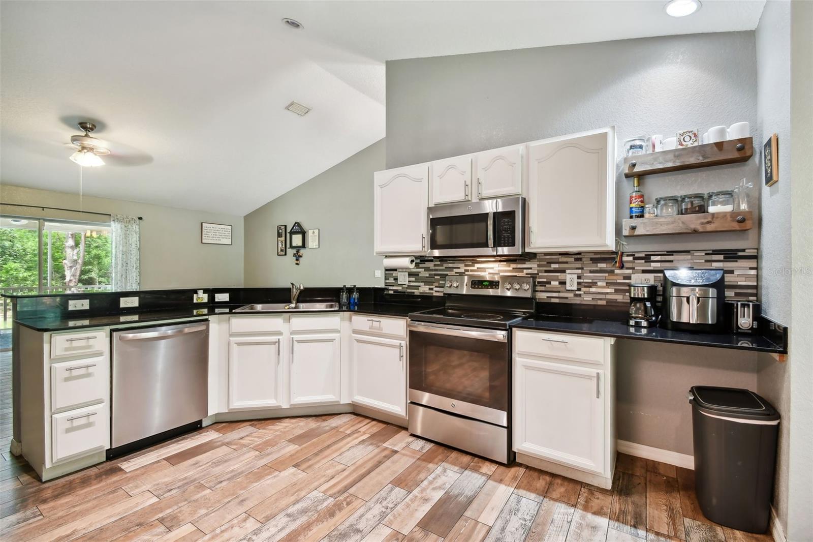31154 LOCHMORE CIR, SORRENTO, FL, 32776