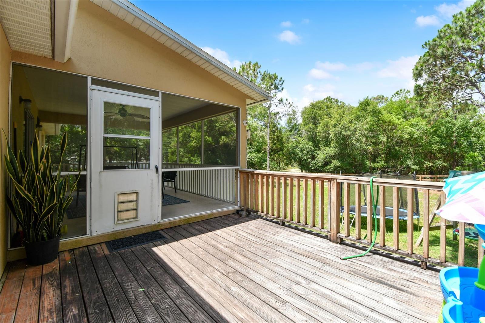 31154 LOCHMORE CIR, SORRENTO, FL, 32776