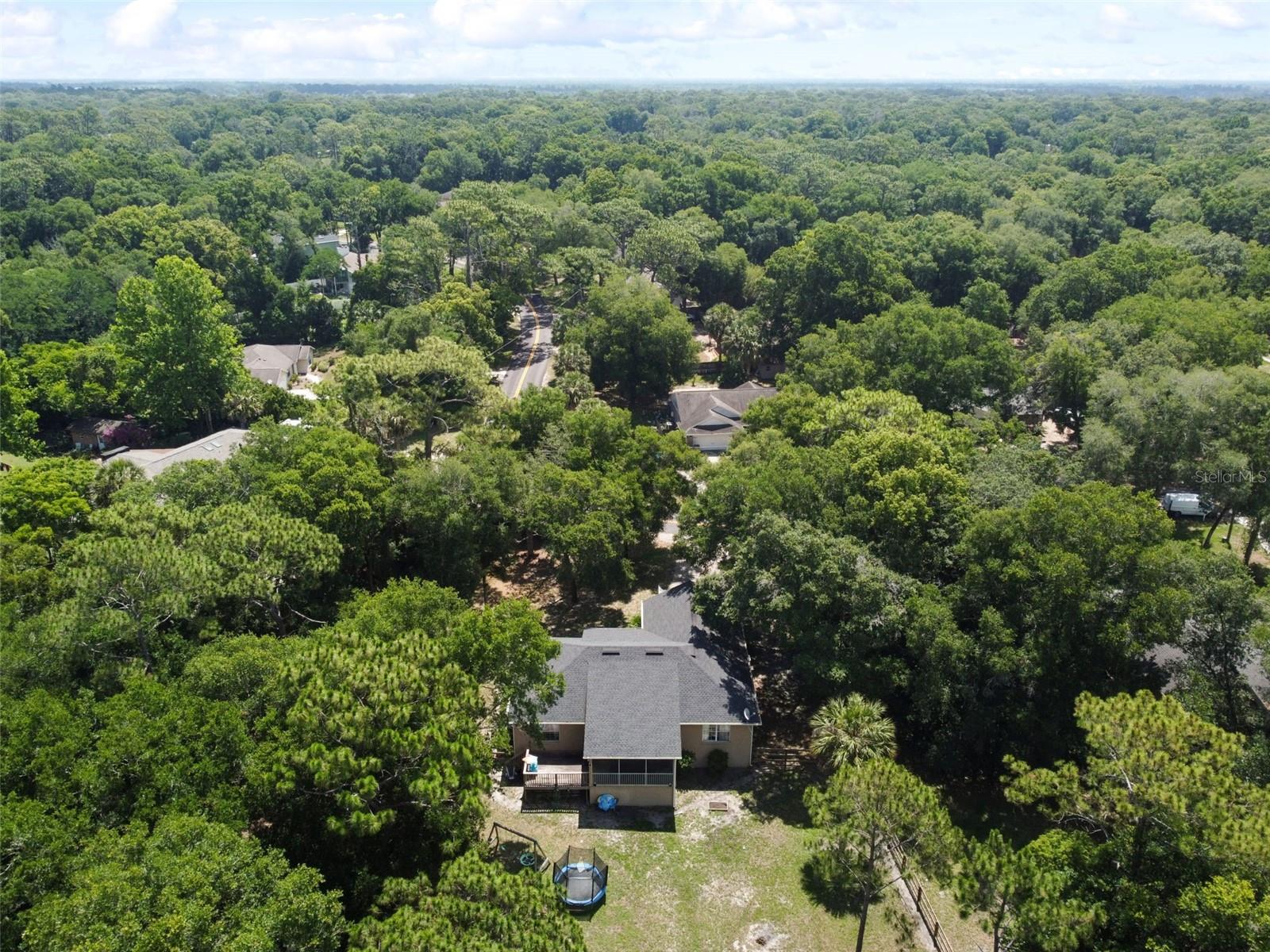 31154 LOCHMORE CIR, SORRENTO, FL, 32776
