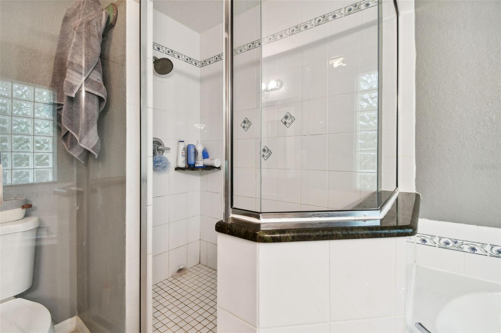 31154 LOCHMORE CIR, SORRENTO, FL, 32776