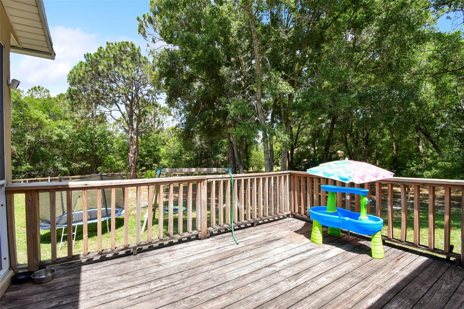 31154 LOCHMORE CIR, SORRENTO, FL, 32776