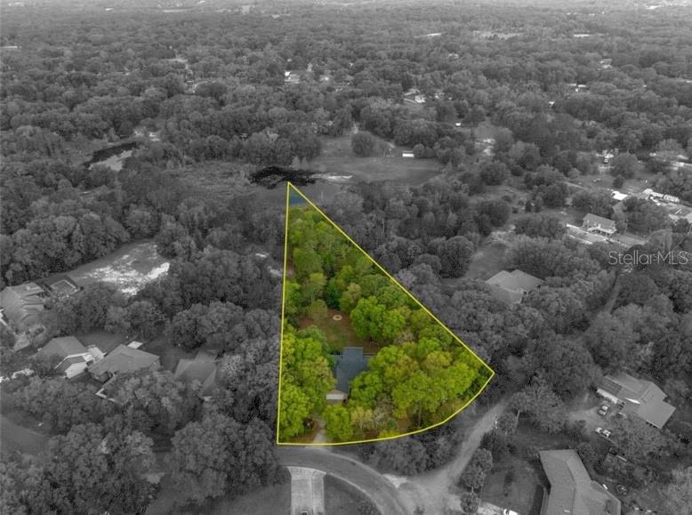 31154 LOCHMORE CIR, SORRENTO, FL, 32776