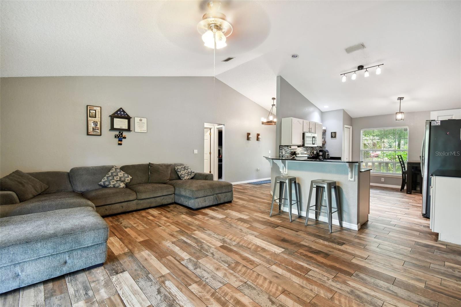 31154 LOCHMORE CIR, SORRENTO, FL, 32776