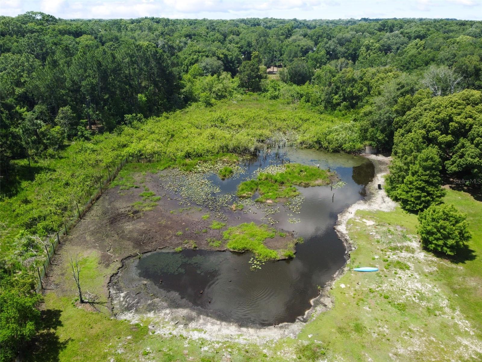31154 LOCHMORE CIR, SORRENTO, FL, 32776