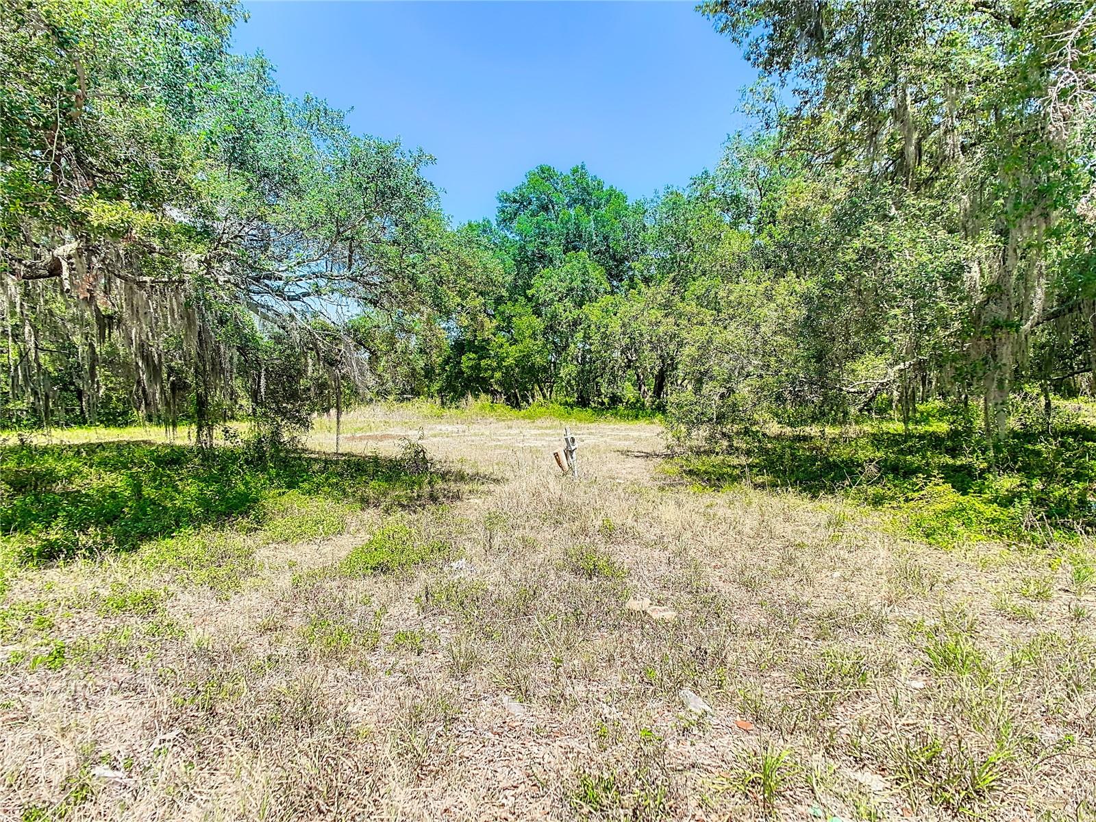 15399 N FLORIDA AVE, TAMPA, FL, 33613