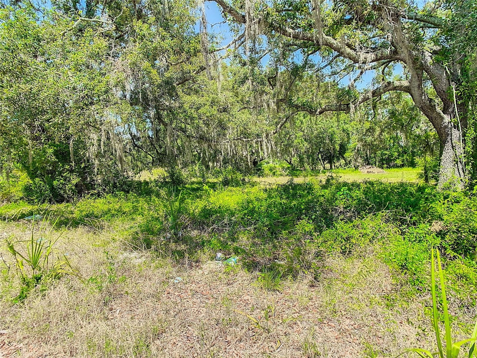 15399 N FLORIDA AVE, TAMPA, FL, 33613