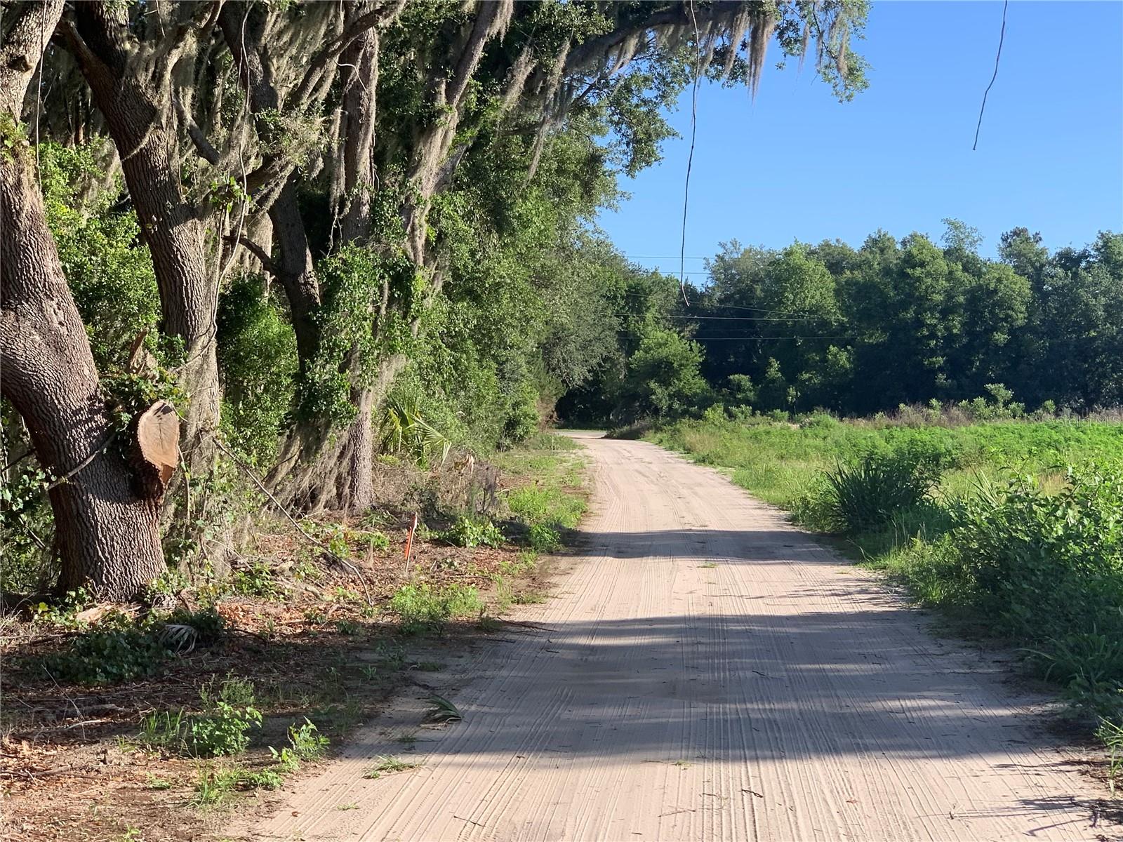 TBD JACKSON CT, OKAHUMPKA, FL, 34762