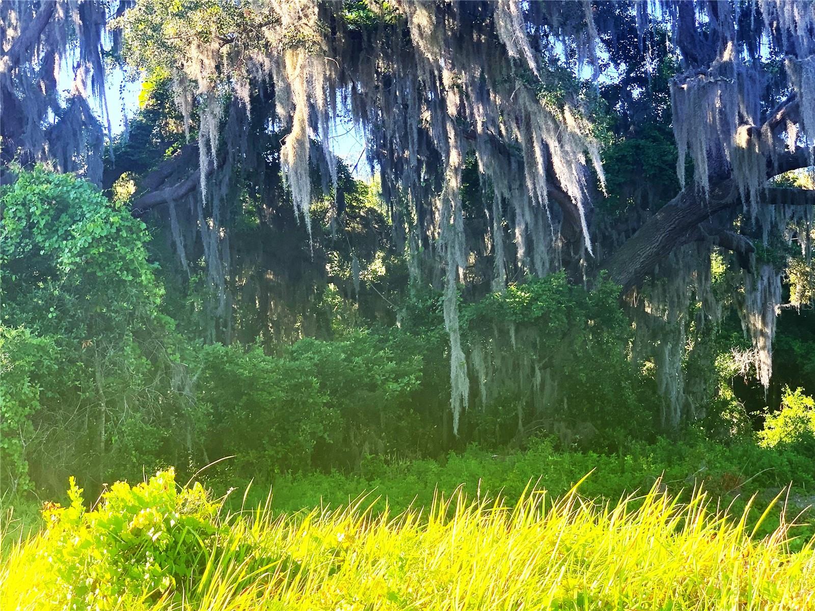 TBD JACKSON CT, OKAHUMPKA, FL, 34762