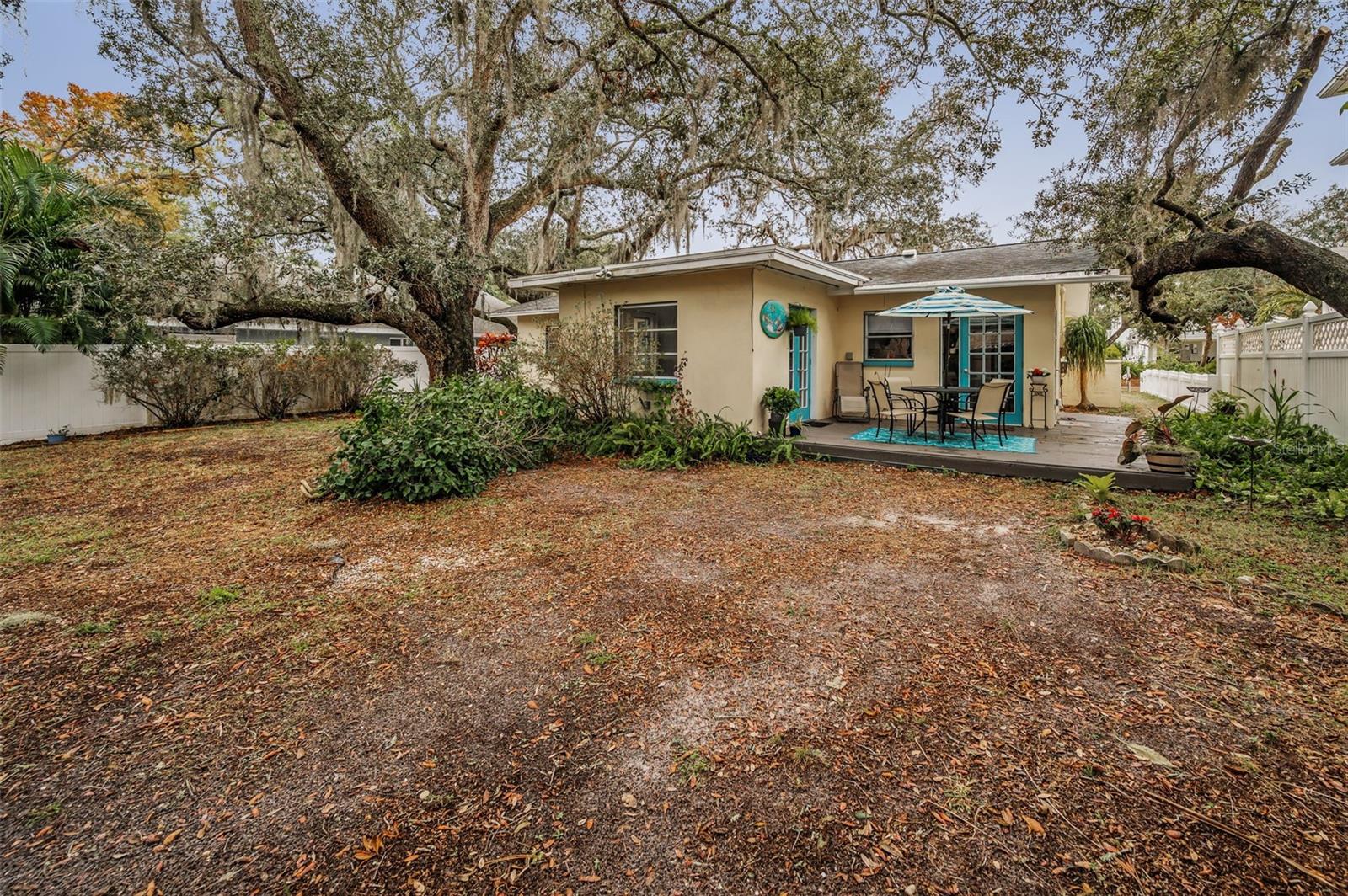 335 TUCKER ST, SAFETY HARBOR, FL, 34695