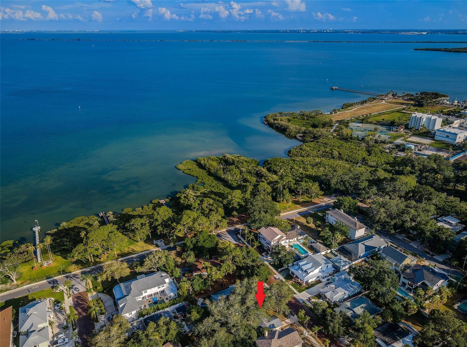 335 TUCKER ST, SAFETY HARBOR, FL, 34695