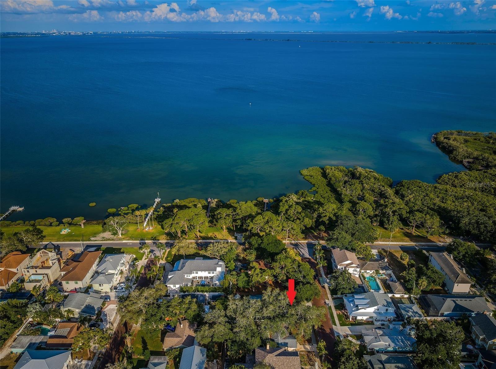 335 TUCKER ST, SAFETY HARBOR, FL, 34695