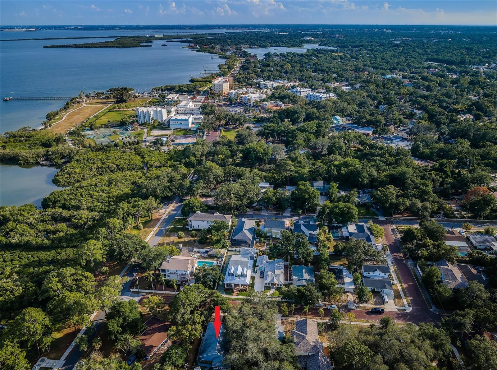 335 TUCKER ST, SAFETY HARBOR, FL, 34695