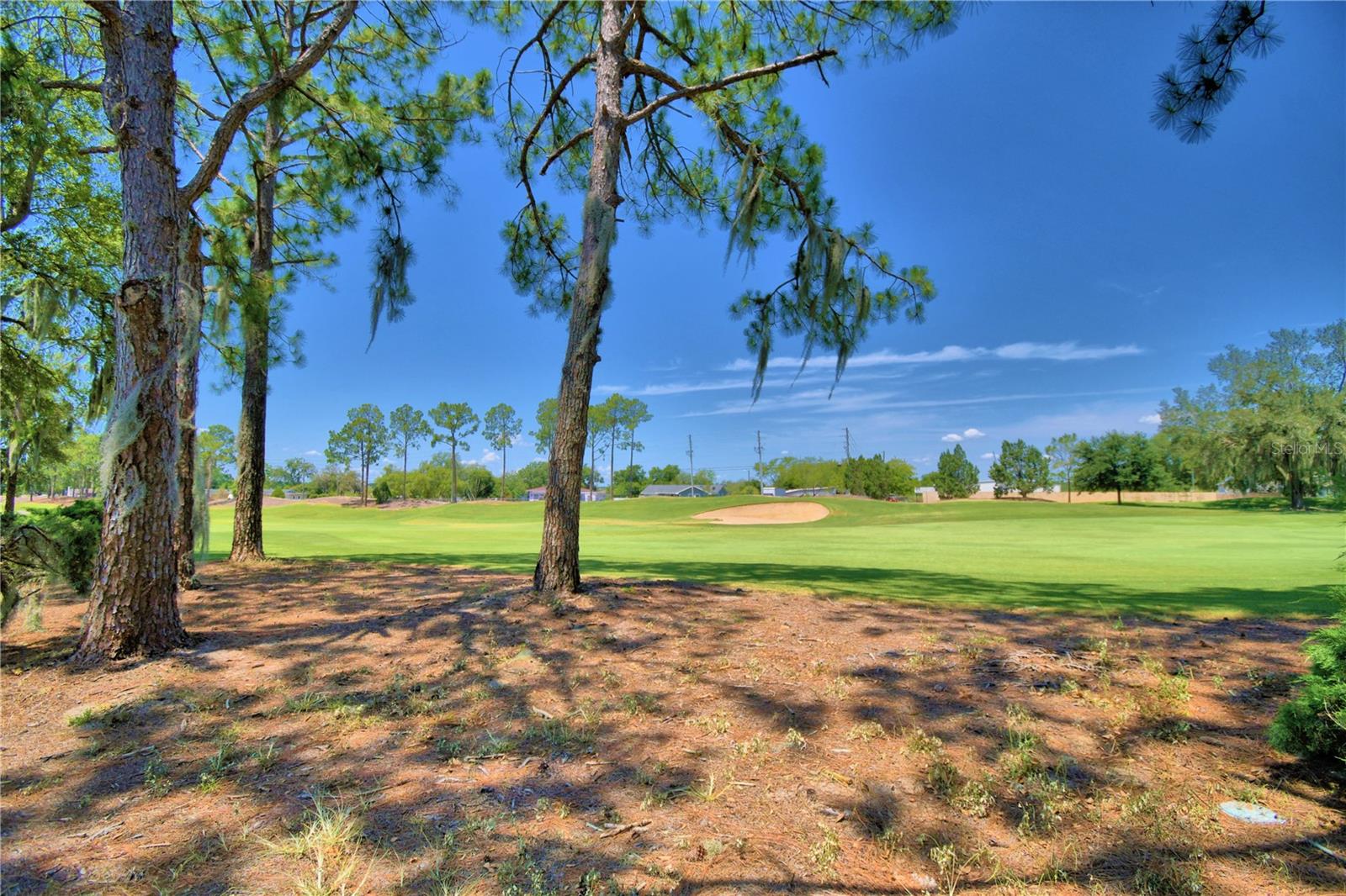 1608 FOREST HILLS LN, HAINES CITY, FL, 33844