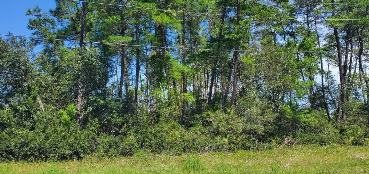 0 SW 171 PL, OCALA, FL, 34473