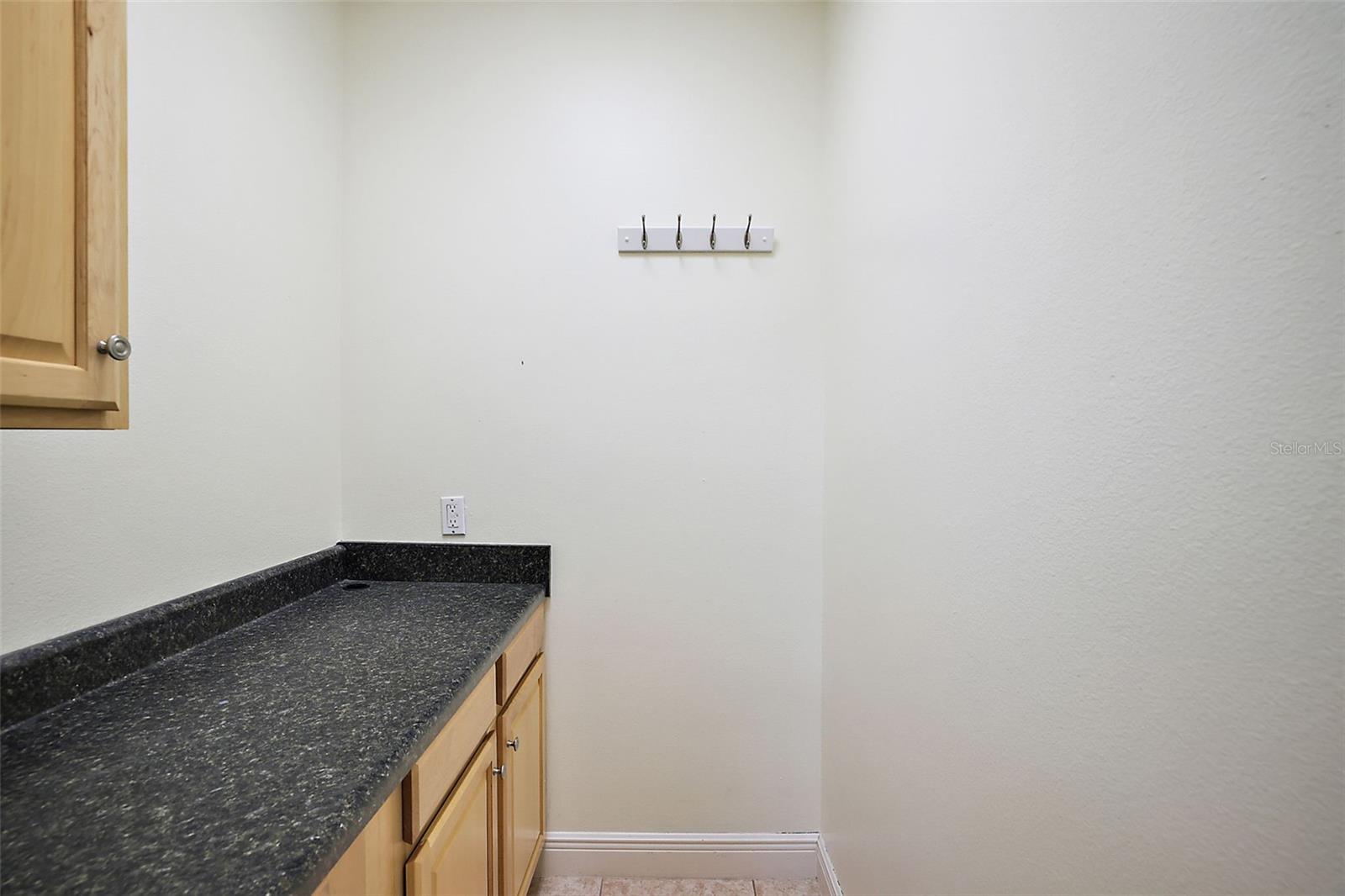 3651 LAKE CENTER DR, MOUNT DORA, FL, 32757