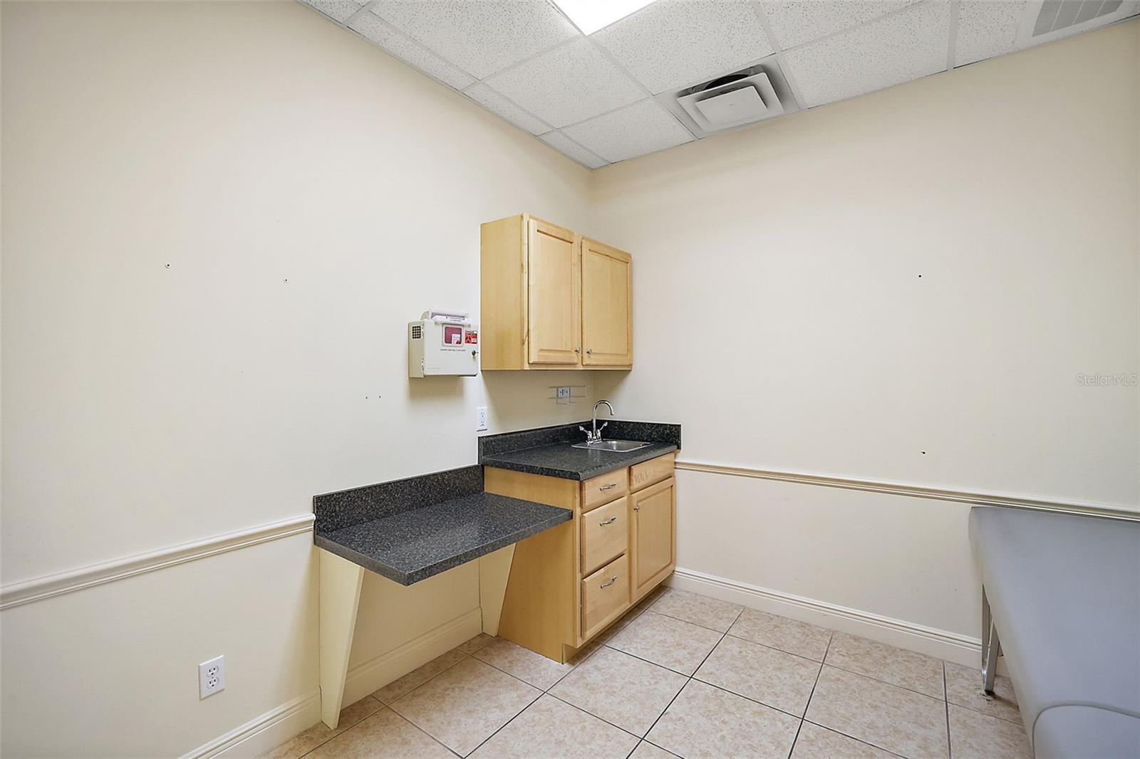 3651 LAKE CENTER DR, MOUNT DORA, FL, 32757