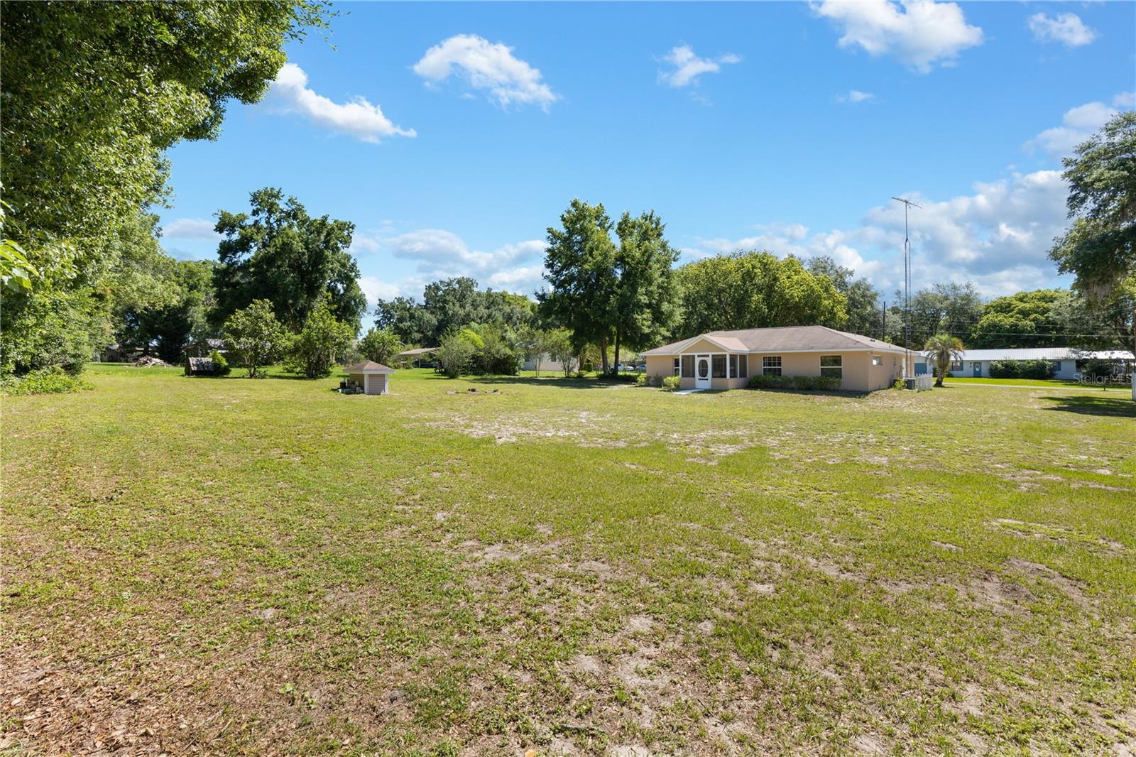 16350 SE 117TH AVE, WEIRSDALE, FL, 32195