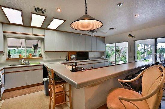 18620 WAYNE RD, ODESSA, FL, 33556