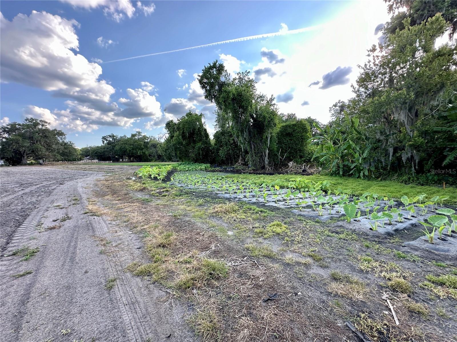 2208 BOGAERT RD, DOVER, FL, 33527
