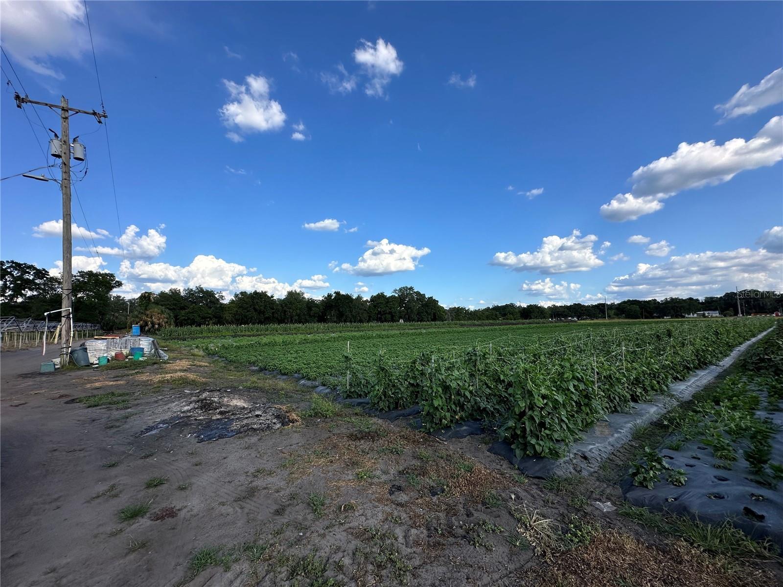 2208 BOGAERT RD, DOVER, FL, 33527