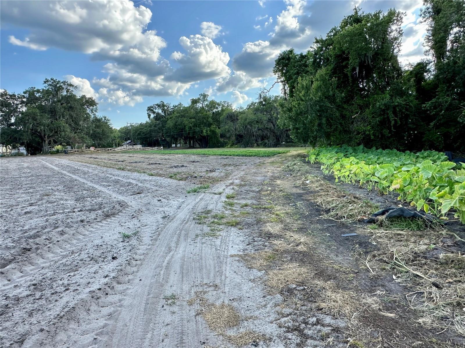 2208 BOGAERT RD, DOVER, FL, 33527