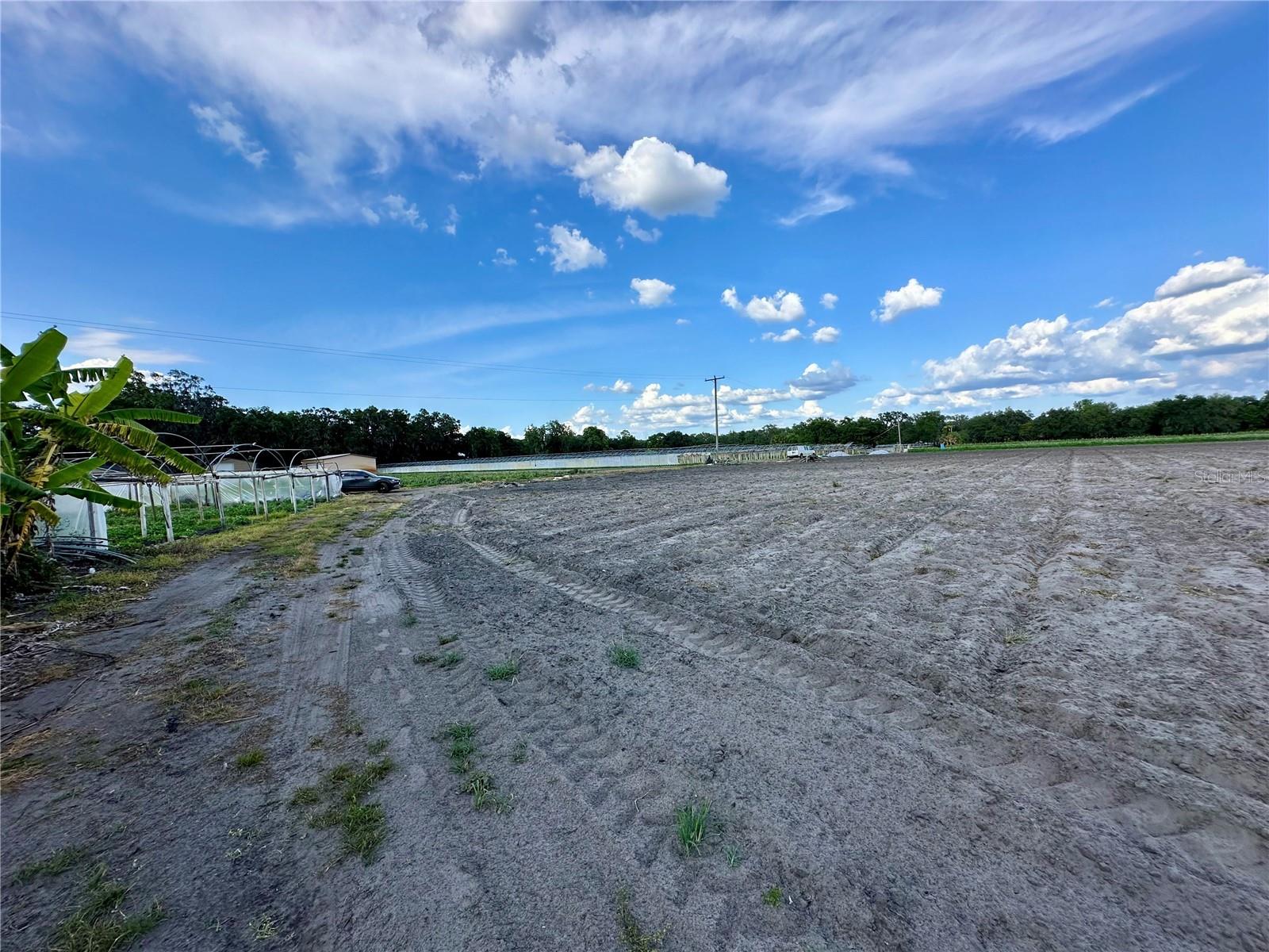 2208 BOGAERT RD, DOVER, FL, 33527