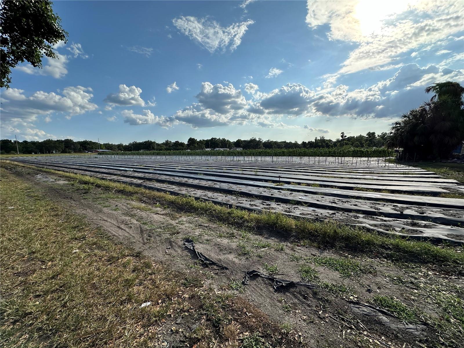 2208 BOGAERT RD, DOVER, FL, 33527