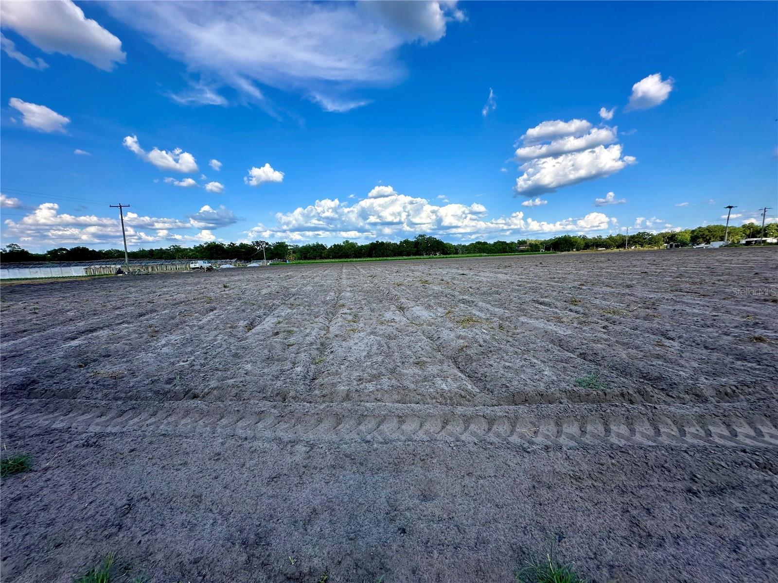 2208 BOGAERT RD, DOVER, FL, 33527