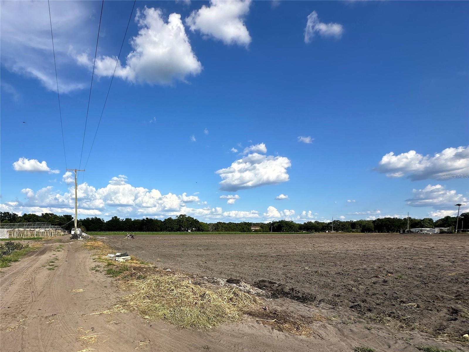 2208 BOGAERT RD, DOVER, FL, 33527