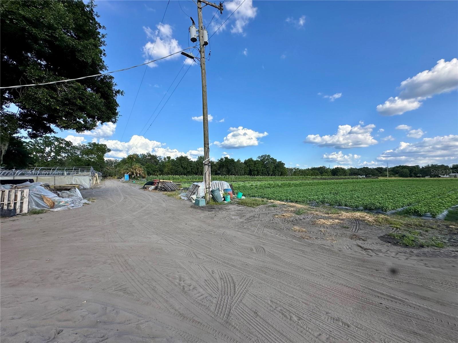 2208 BOGAERT RD, DOVER, FL, 33527