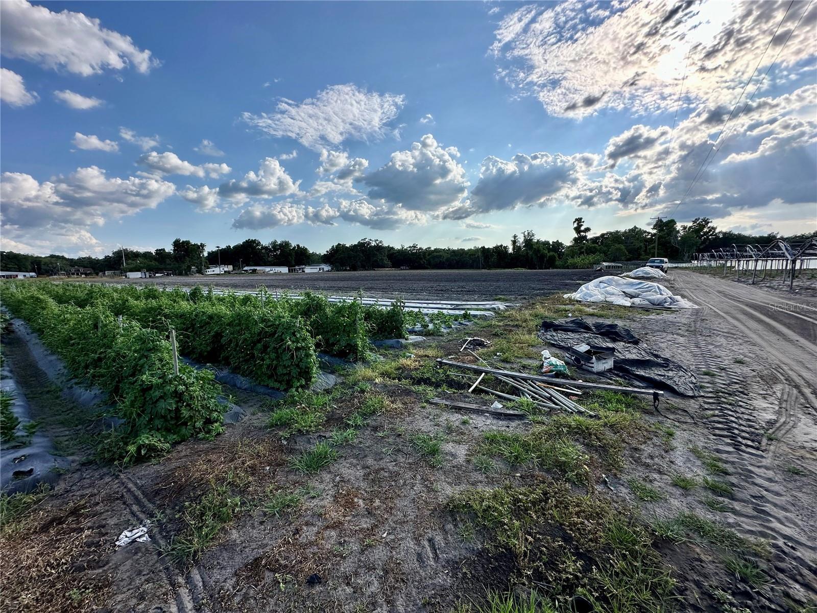 2208 BOGAERT RD, DOVER, FL, 33527