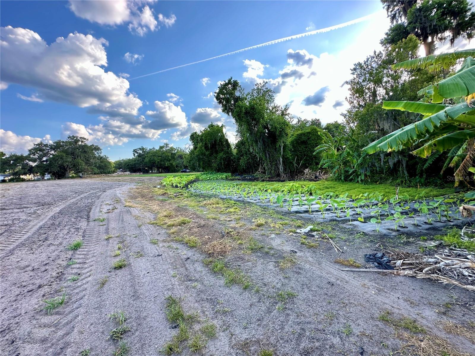 2208 BOGAERT RD, DOVER, FL, 33527