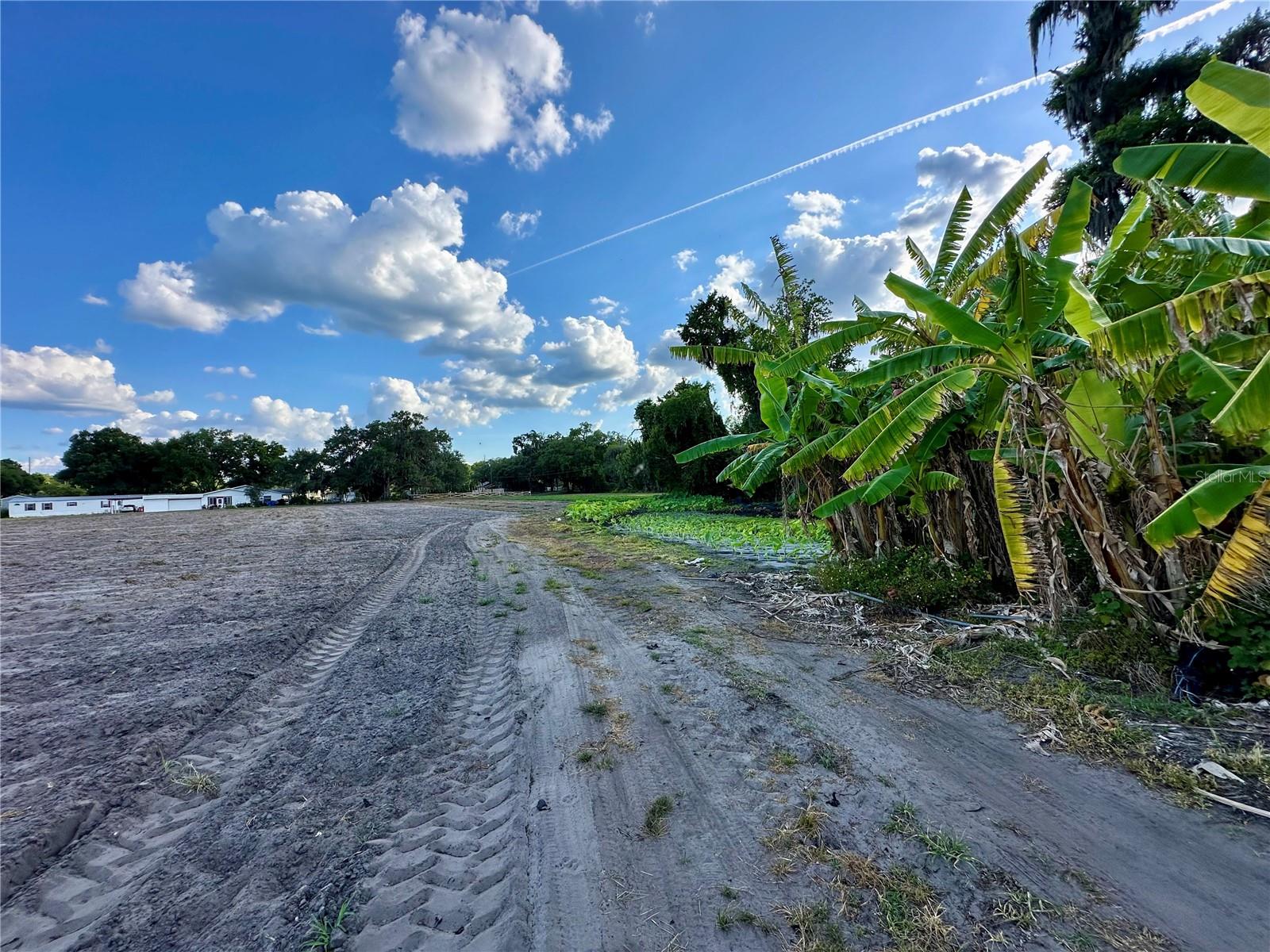 2208 BOGAERT RD, DOVER, FL, 33527