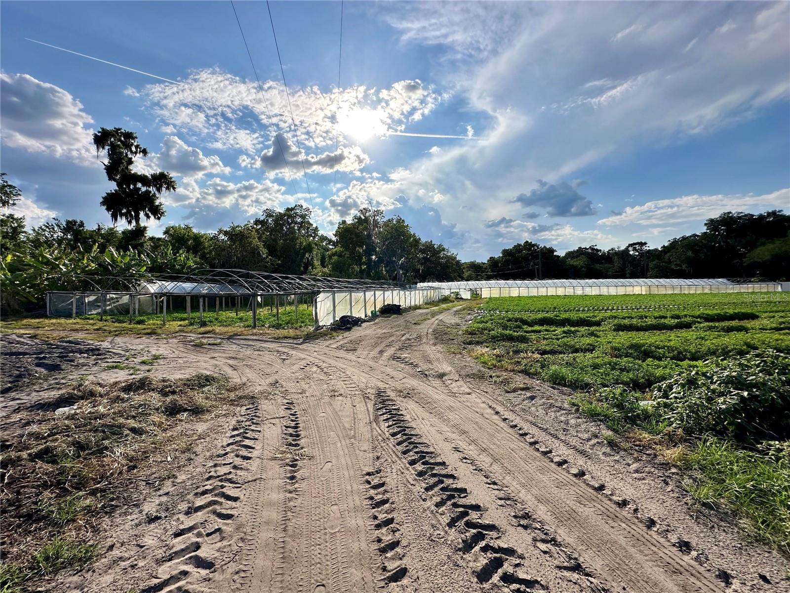 BOGAERT RD, SEFFNER, FL, 33584