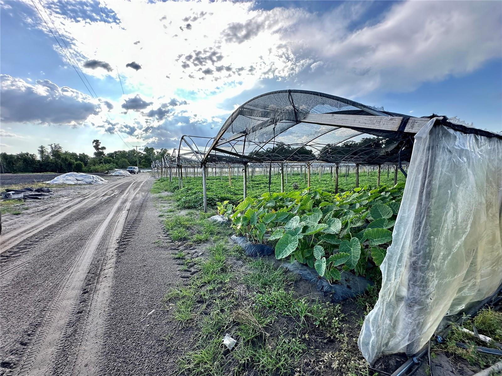 BOGAERT RD, SEFFNER, FL, 33584