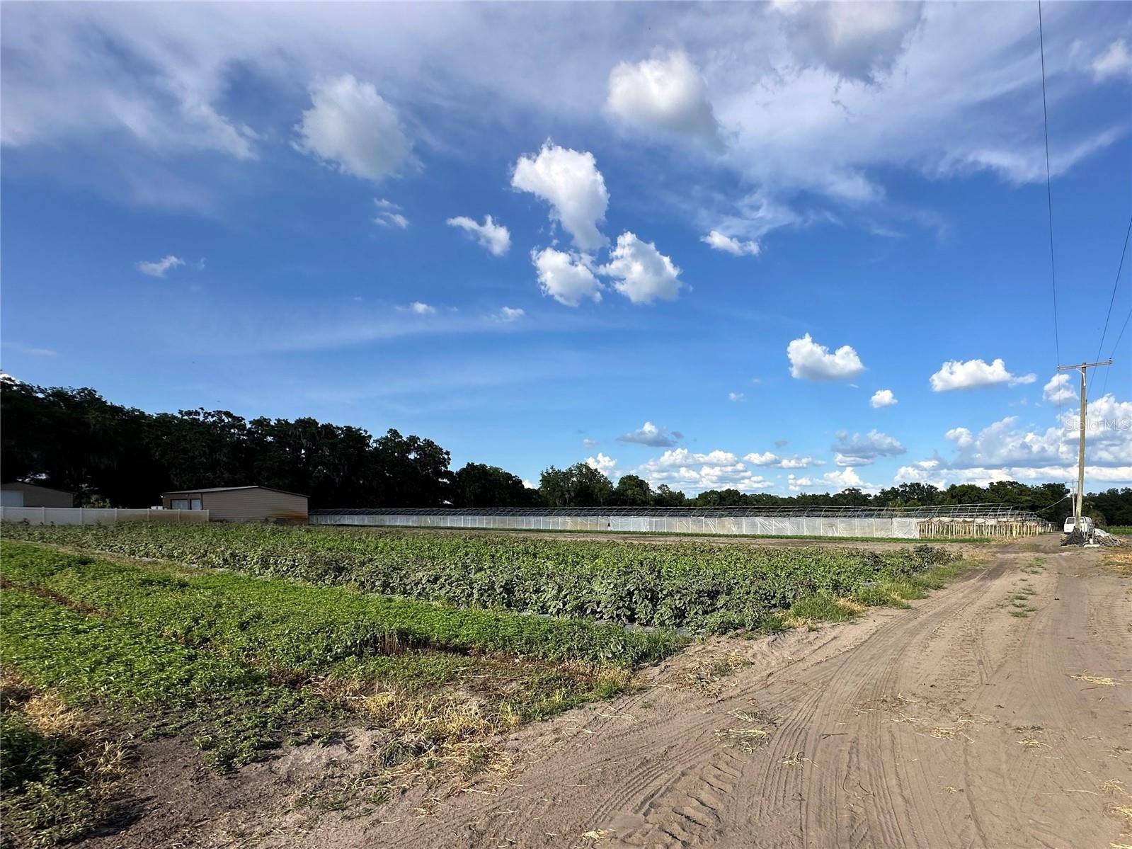 BOGAERT RD, SEFFNER, FL, 33584
