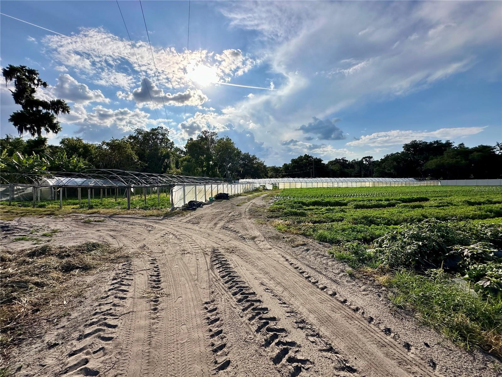 BOGAERT RD, SEFFNER, FL, 33584