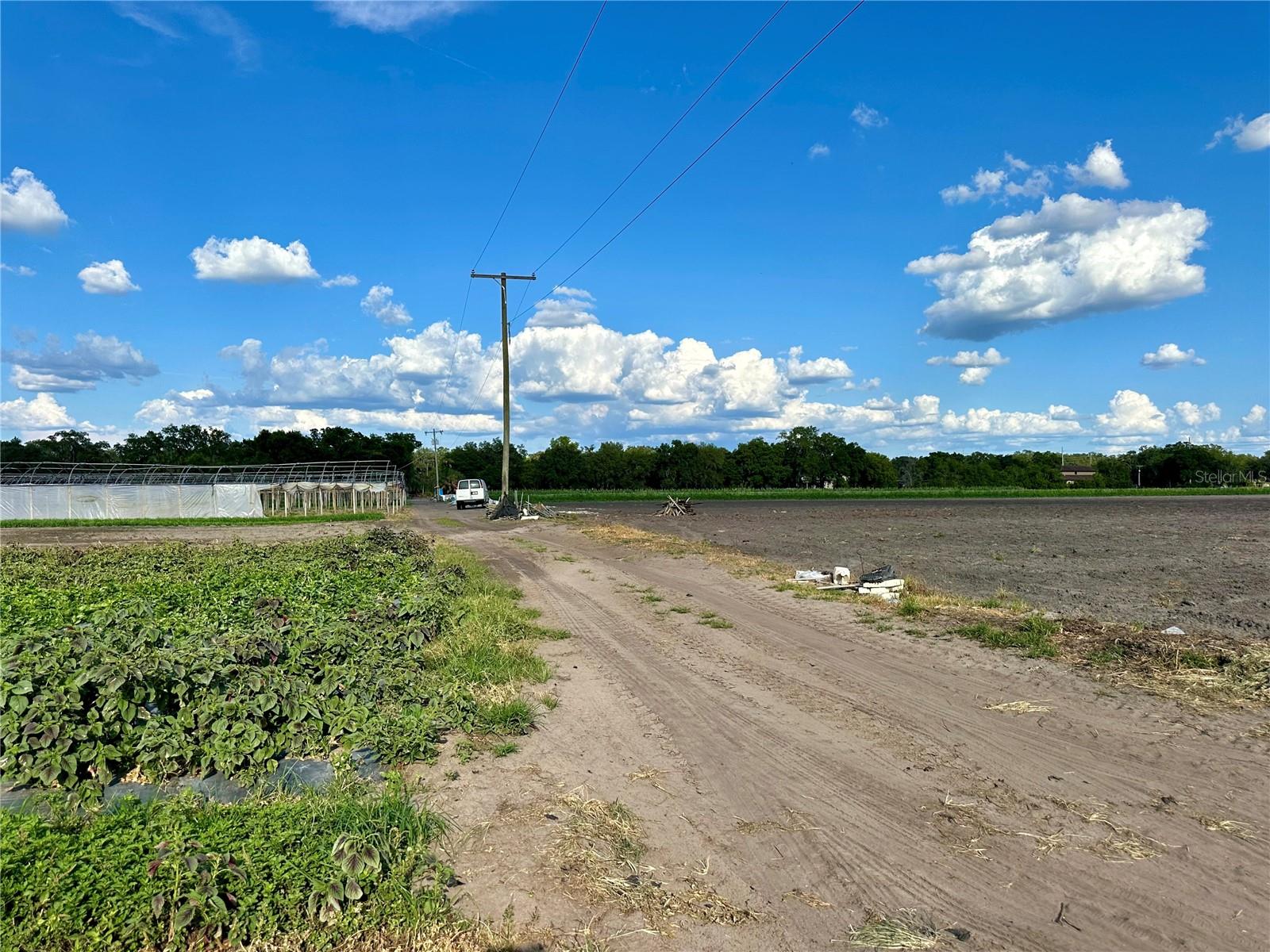 BOGAERT RD, SEFFNER, FL, 33584