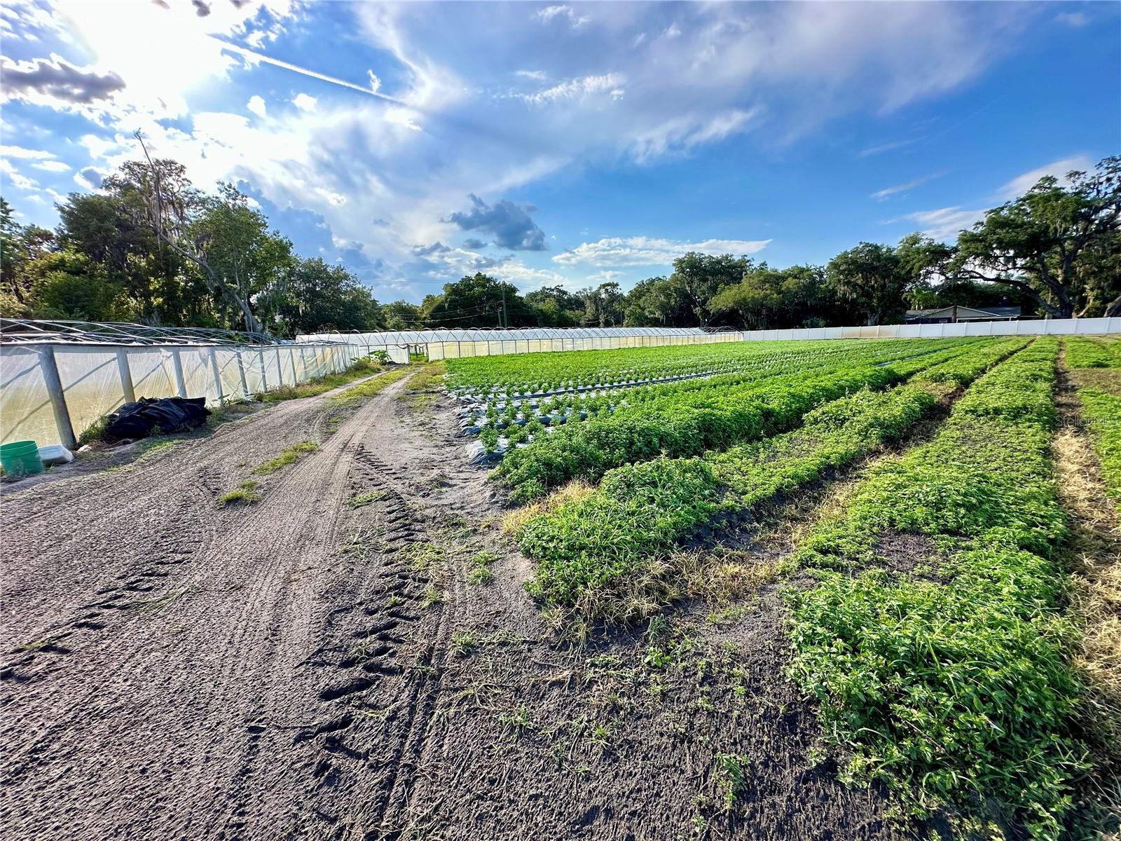 BOGAERT RD, SEFFNER, FL, 33584