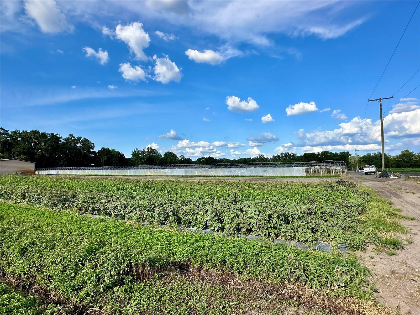 BOGAERT RD, SEFFNER, FL, 33584
