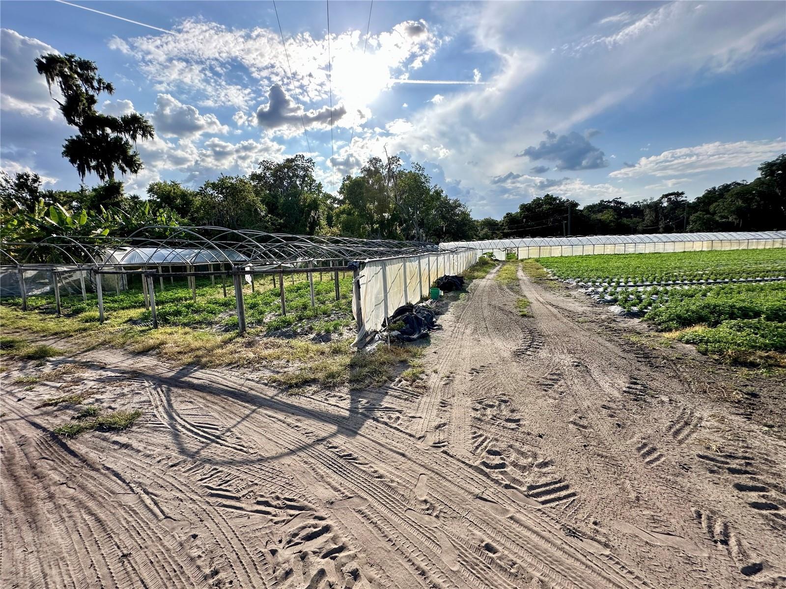 BOGAERT RD, SEFFNER, FL, 33584