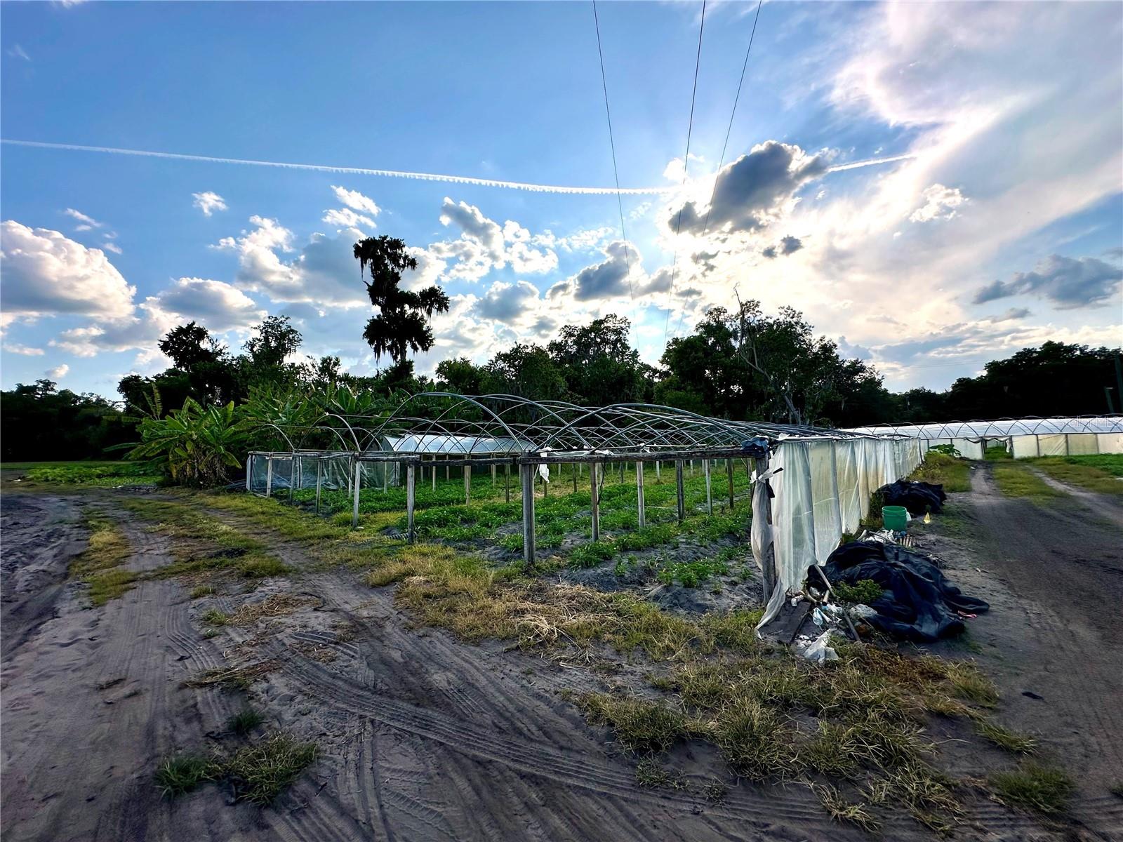 BOGAERT RD, SEFFNER, FL, 33584