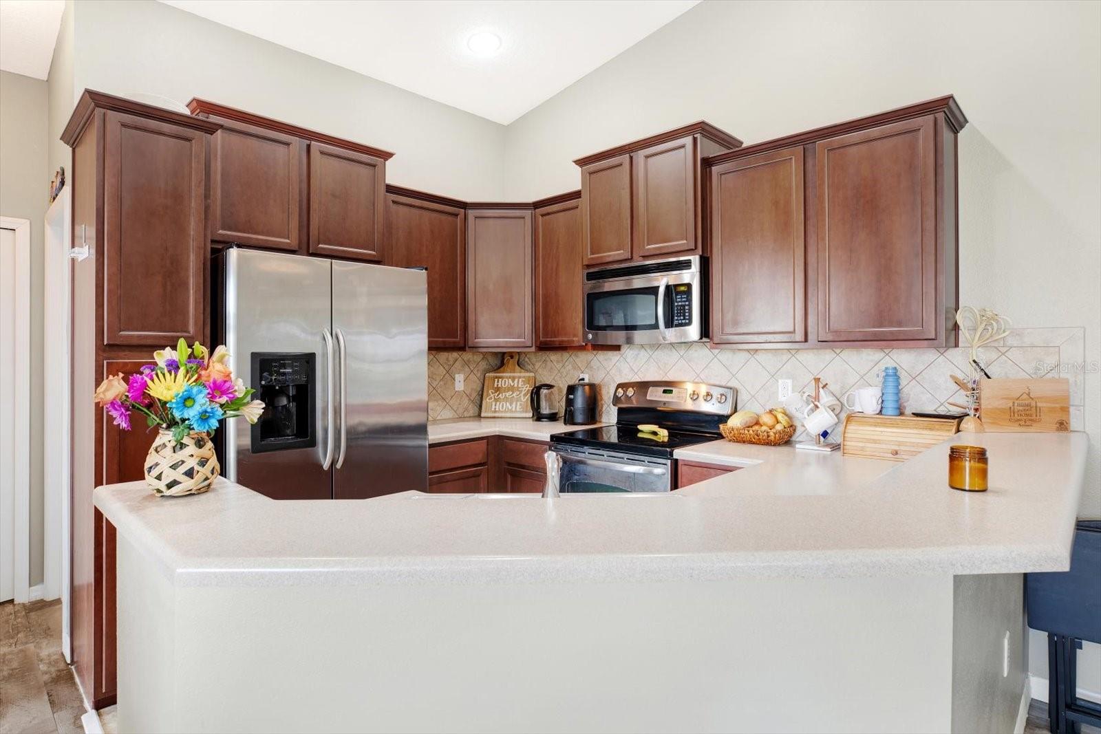 9107 MOONLIT MEADOWS LOOP, RIVERVIEW, FL, 33578