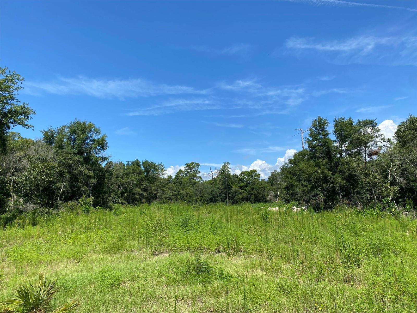 TBD MARION OAKS BLVD, OCALA, FL, 34473