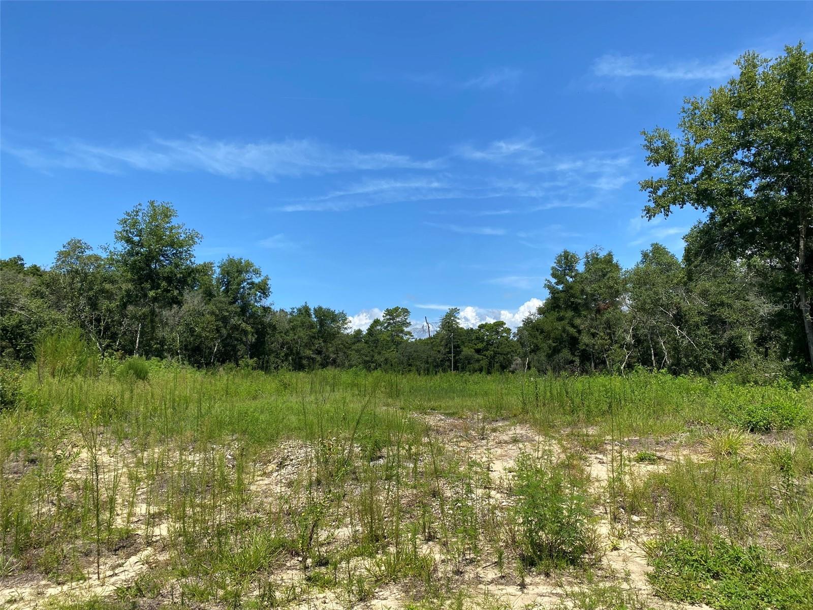 TBD MARION OAKS BLVD, OCALA, FL, 34473