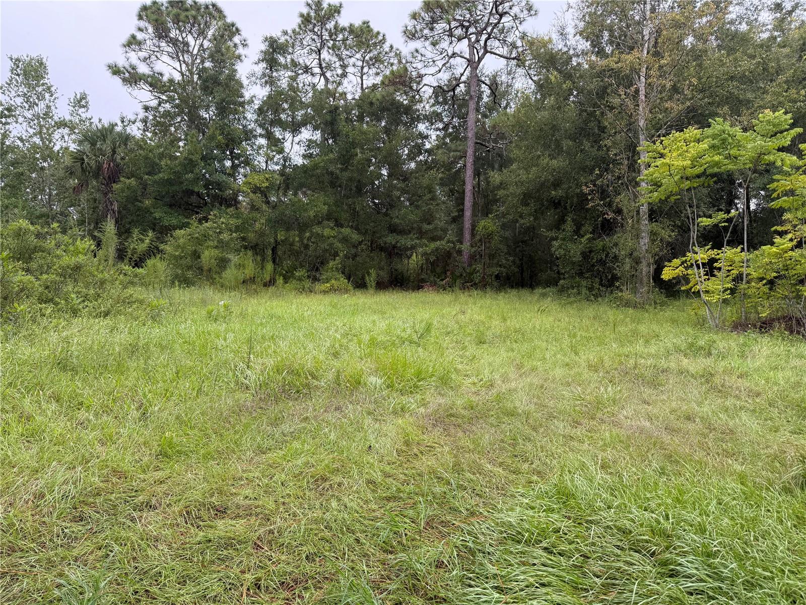 7435 W LINCOLN LN, HOMOSASSA, FL, 34448